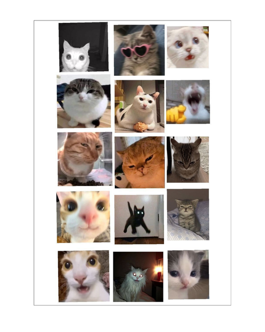 Cats Themed Stickers