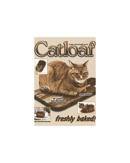 Cat's Themed Posters